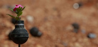 tear-gas-flower-pots-palestine-12